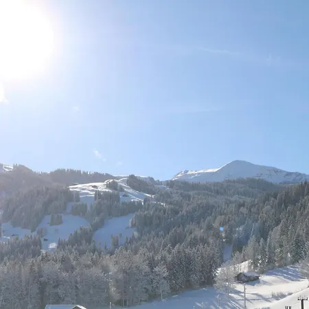 Hotel&restaurant Diana Hotel